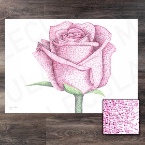 La Rosa / Arte Molécula / Impresión / Póster / Ciencia / Química