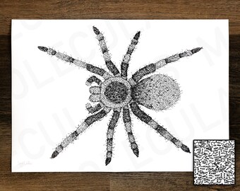 The Spider | Molecule Art | Print | Poster | Science | Chemistry