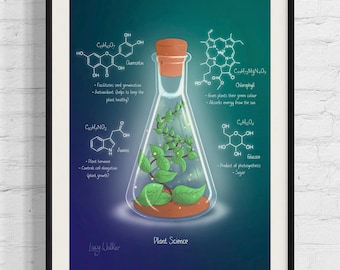 Plant Science | Science Art | Print | Poster | Biology | Chemistry