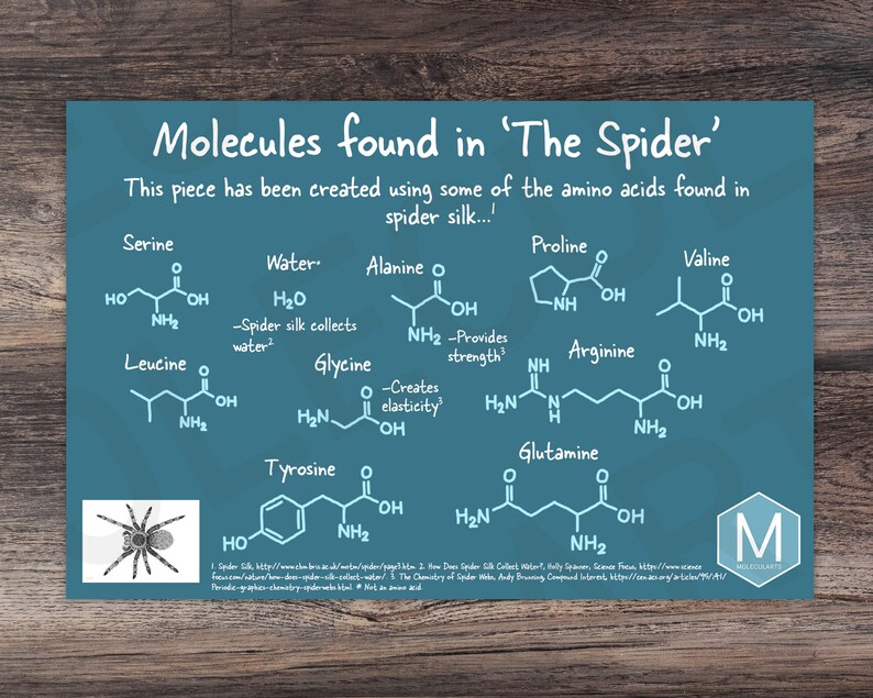 Spider Chems The Spider | Molecule Art | Print | Poster | Science | Chemistry - Etsy