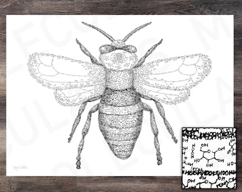 The Bee | Molecule Art | Print | Poster | Science | Chemistry