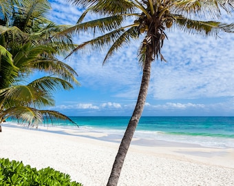 White Sand Beach at Tulum-Cancun-Mayan Riviera-Palm Trees-Caribbean Ocean-Fine Art Print-Ready to Hang-Large Wall Hanging