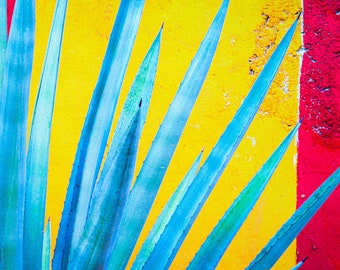 Agave Azul Cactus Colorful Wall-Primary Colors-Abstract Photography-Minimalist-Wall Decor-Fine Art Print-Large Canvas Wrap-Ready to Hang
