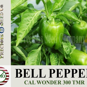 Heirloom Bell Pepper Seeds - Cal Wonder 300 TMR (Non-GMO)