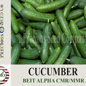 Heirloom Cucumber Seeds - Beit Alpha CMR/MMR or Persian (Non-GMO)