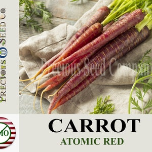 Heirloom Carrot, Atomic Red (Non-GMO)