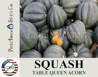Heirloom Squash Seeds - Table Queen Acorn