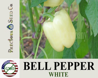 Heirloom Bell Pepper Seeds - White (Non-GMO)