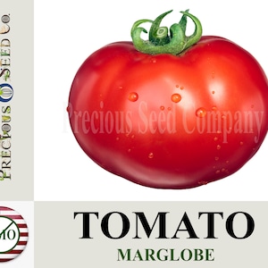 Heirloom Tomato Seeds - Marglobe (Non-GMO)