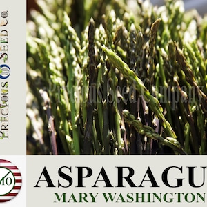 Heirloom Asparagus Seeds - Mary Washington (Non-GMO)
