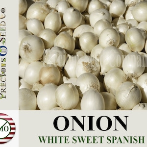 Heirloom Onion Seeds - White Sweet Spanish