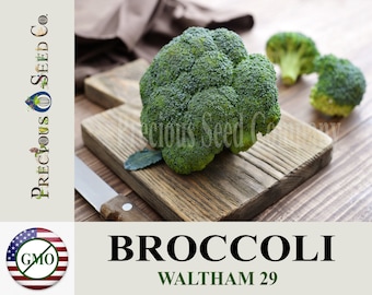 De Cicco Broccoli Seeds (Brassica oleracea) - 300+ Non-GMO & Heirlo