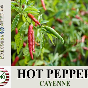 Heirloom Hot Pepper Seeds - Cayenne (Non-GMO)