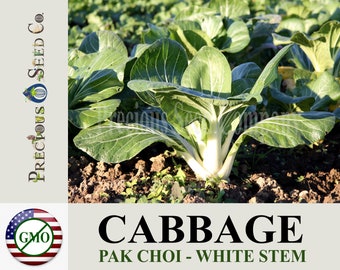 Heirloom Cabbage Seeds - Pak Choi (Non-GMO)