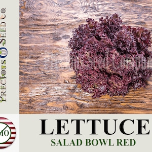 Heirloom Lettuce Seeds - Salad Bowl Red (Non-GMO)