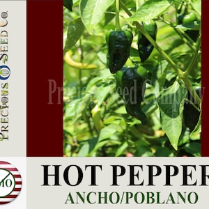 Heirloom Hot Pepper Seeds - Ancho or Poblano (Non-GMO)