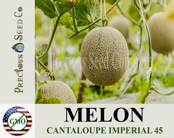 Heirloom Melon Seeds - Imperial 45 Cantaloupe (Non-GMO)