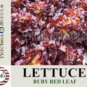 Heirloom Lettuce Seeds - Ruby Red Leaf (Non-GMO)