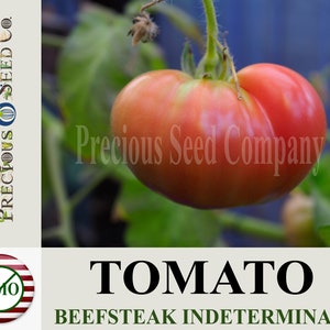 Heirloom Tomato Seeds - Beefsteak Indeterminate (Non-GMO)