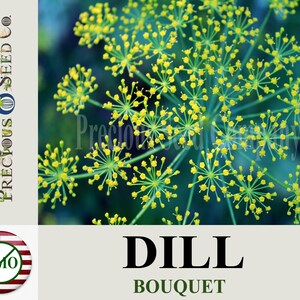 Heirloom Dill Seeds - Bouquet (Non-GMO)