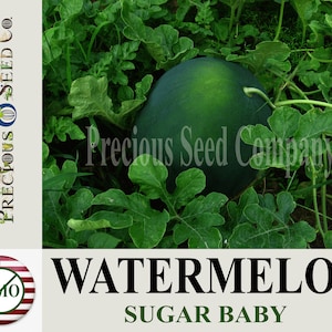 Heirloom Melon Seeds - Sugar Baby Watermelon (Non-GMO)