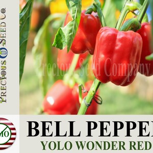 Heirloom Bell Pepper Seeds - Yolo Wonder Red (Non-GMO)