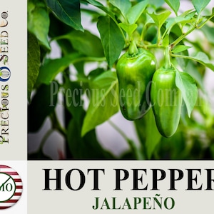Heirloom Hot Pepper Seeds - Jalapeño (Non-GMO)