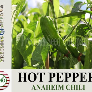 Heirloom Hot Pepper Seeds - Anaheim Chili (Non-GMO)