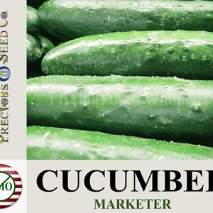 Heirloom Cucumber Seeds - Marketer (Non-GMO)
