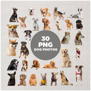Dogs PNG Clipart Bundle – 30 Dog Breed Photos (Digital Download)
