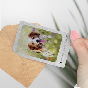 Portrait personnalisé de carte de portefeuille commémoratif d'animal de compagnie - cadeau souvenir en métal, animal de compagnie, mémorial d'animal de compagnie, cadeau spécial, famille, chien, chat