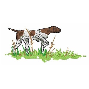 Puede incluir: Un perro Braco Alemán de pelo corto marrón y blanco de pie en un campo de hierba verde y tallos marrones.