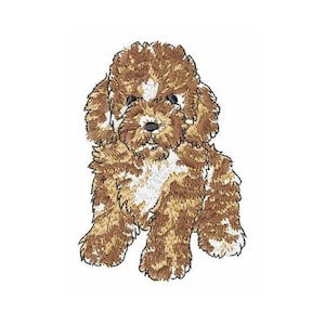 Toy Poodle - Machine Embroidery Design