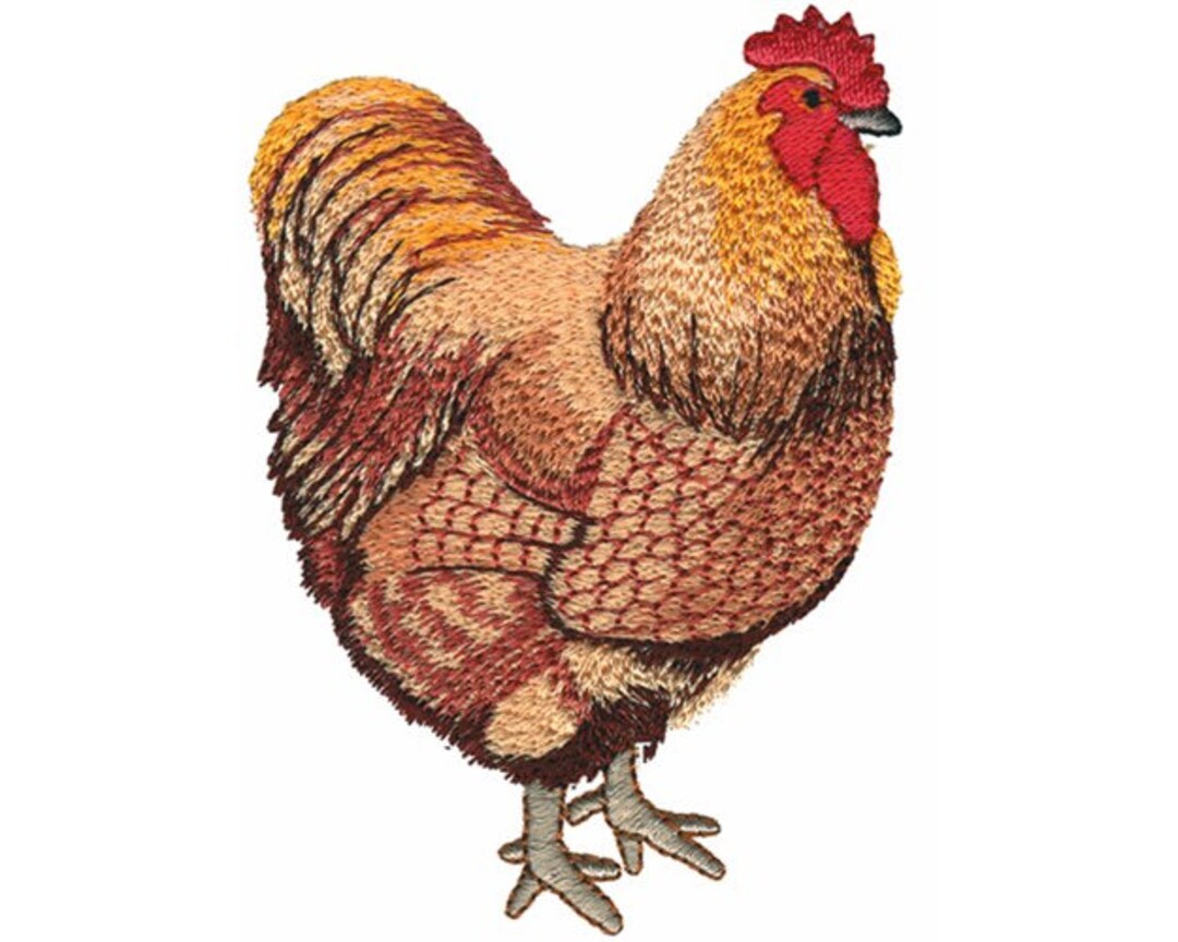 Buff Orpington Machine Embroidery Design Etsy