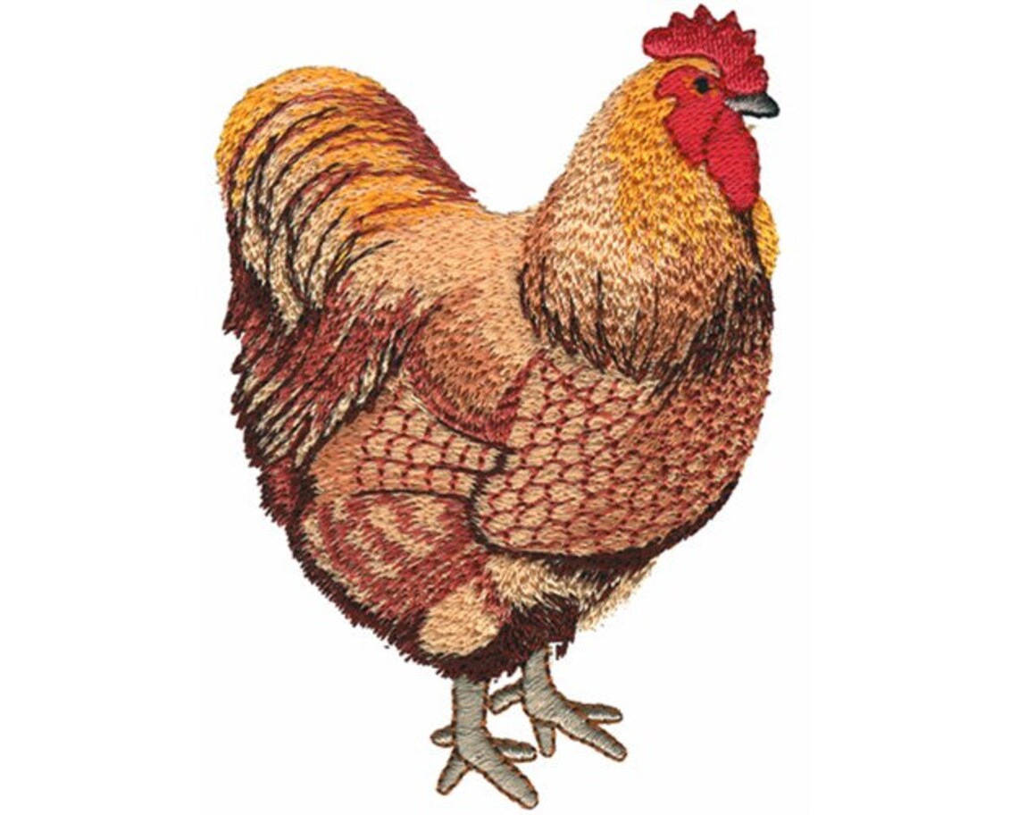 Buff Orpington - Machine Embroidery Design - Etsy Australia