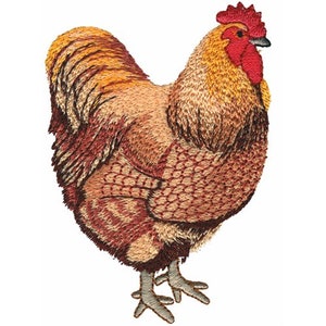 Puede incluir: Un gallo marrón y naranja con cresta y barbillas rojas. El gallo está de pie sobre un fondo blanco.