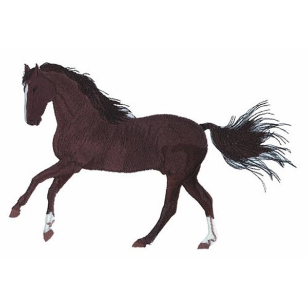 Horse(Lg) - Machine Embroidery Design