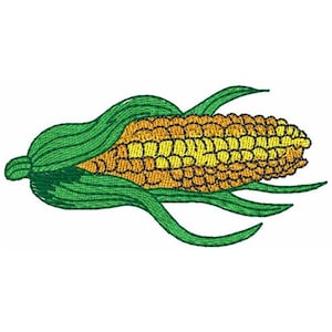 Puede incluir: Una mazorca de maíz con cáscaras verdes y granos amarillos. La mazorca está tumbada de lado con las cáscaras ligeramente abiertas.