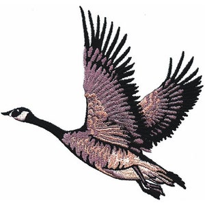 Canadian Goose - Machine Embroidery Design