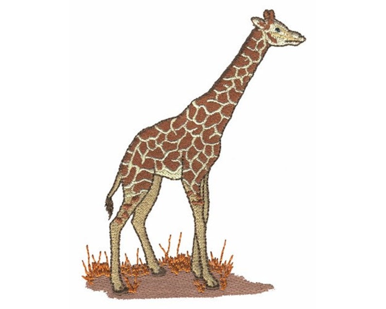 Giraffe Machine Embroidery Design Etsy