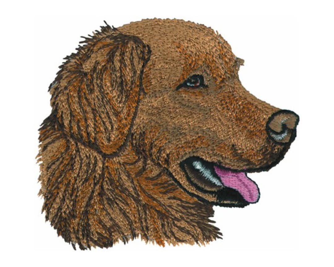 Golden Retriever Machine Embroidery Design Etsy