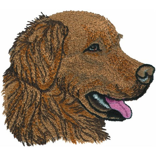 Machine Embroidery Designs Golden Retriever - Etsy