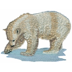 Polar Bear - Machine Embroidery Design