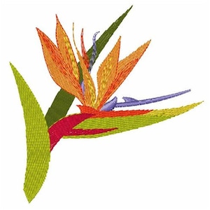 Może przedstawiać: Żywy pomarańczowy, żółty i czerwony kwiat ptasiego raju z zielonymi liśćmi. Kwiat jest stylizowany i haftowany.