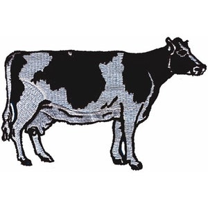 Holstein Cow - Machine Embroidery Design