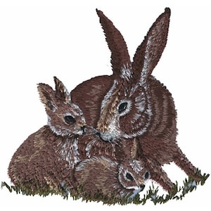 May include: A brown rabbit with two baby rabbits. The mother rabbit is sitting with her front paws on the ground and her back legs are tucked under her. The baby rabbits are sitting in front of her. The rabbits are all looking at the camera.