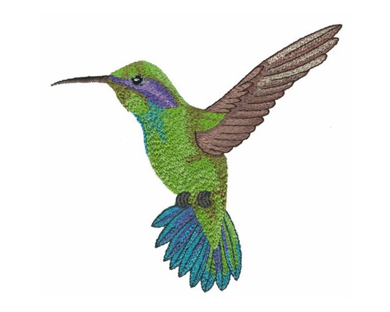 Hummingbird Machine Embroidery Design Etsy