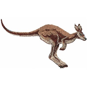 Kangaroo - Machine Embroidery Design