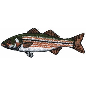 Striped Bass - Machine Embroidery Design
