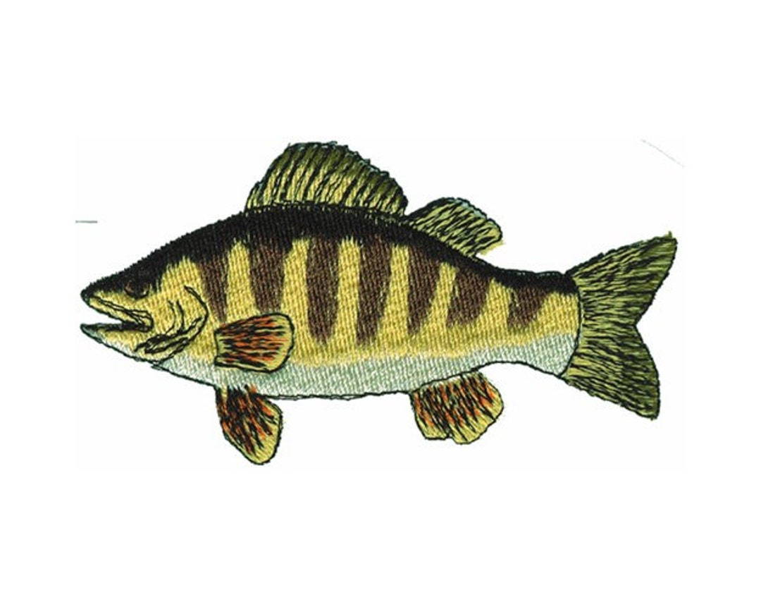 Yellow Perch Machine Embroidery Design - Etsy